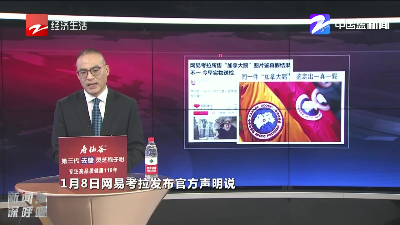 同一件“加拿大鹅” 鉴定出一真一假
