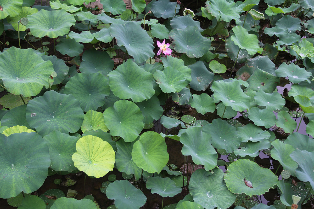 淮安生物工程高等职业学校2022年招生办电话是多少-怎么样