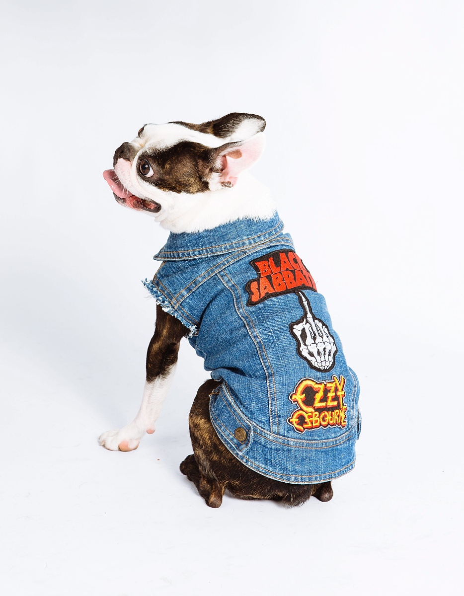 帮我写一段c#猫狗继承关系