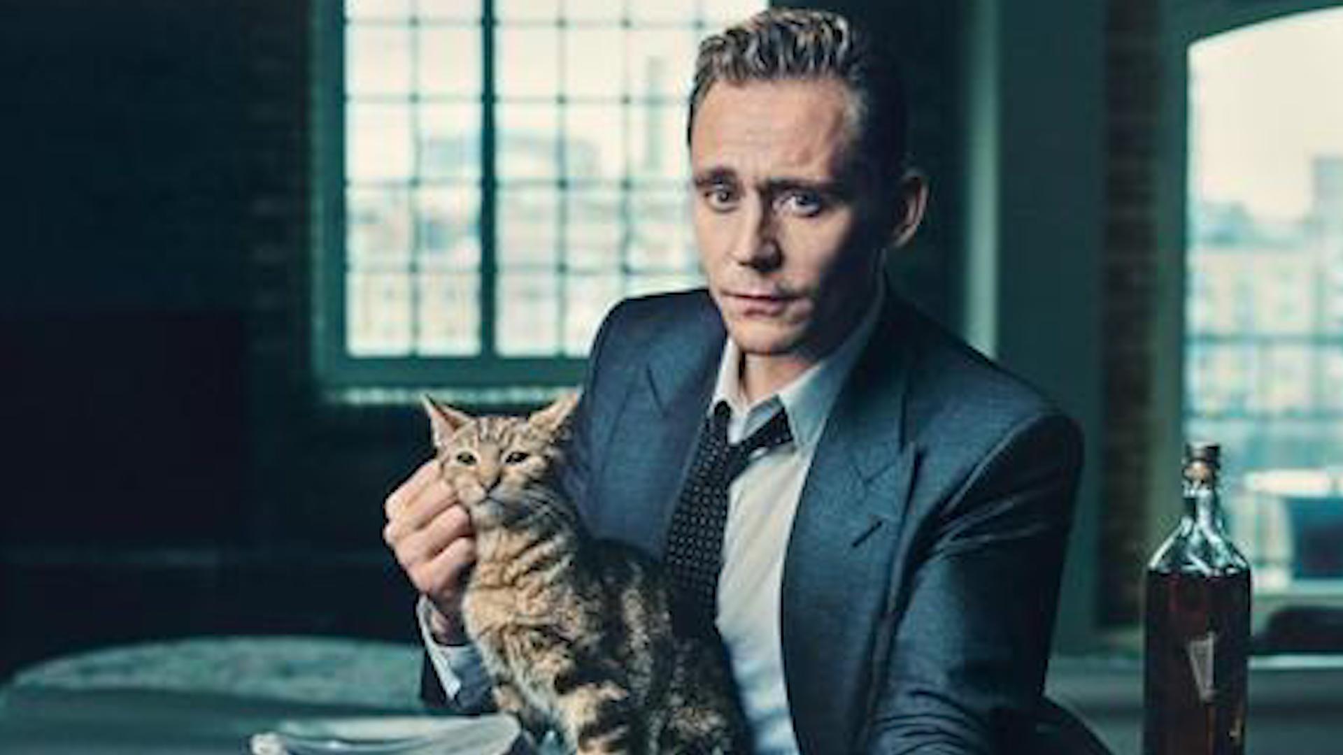 汤姆希德勒斯顿:12岁父母离异,剑桥毕业开始学习表演