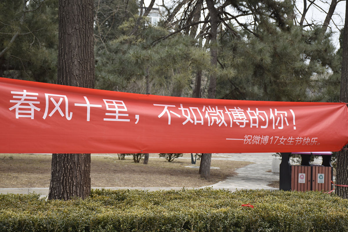 表白神器：如何向林冰清表白？