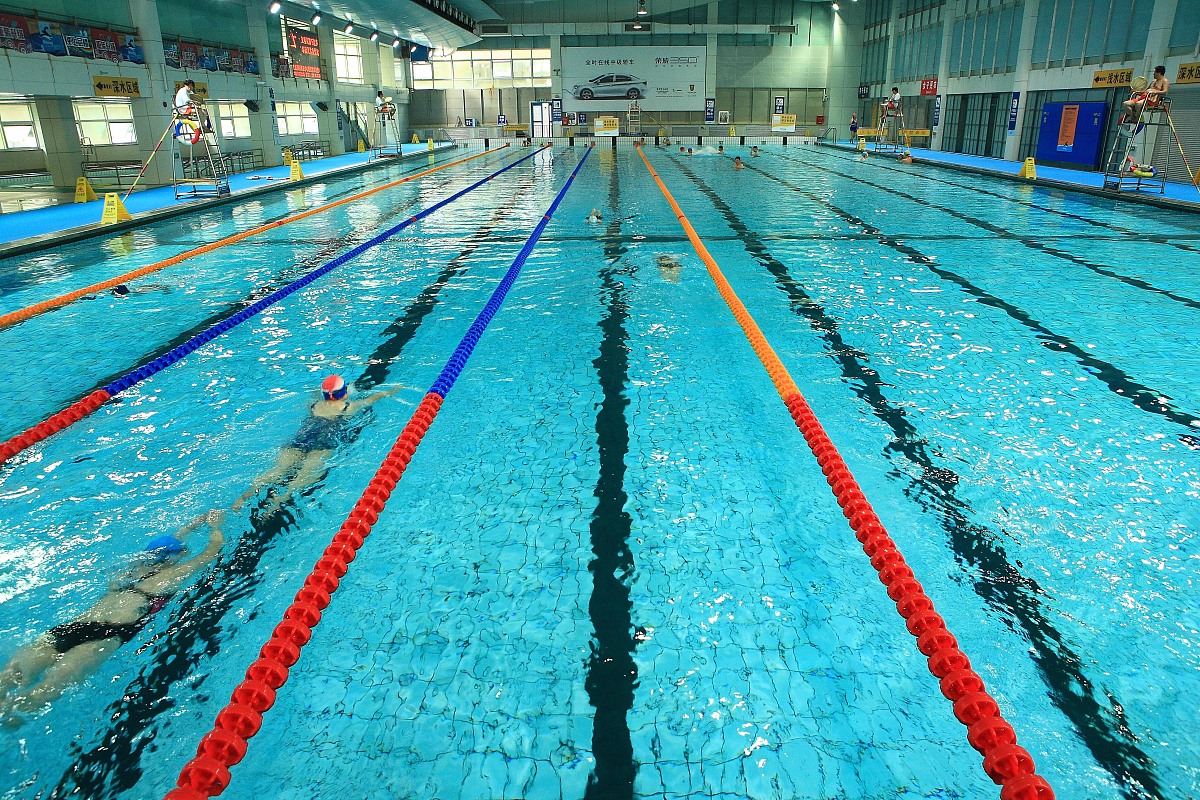 游泳培训：方式、内容和选择指南