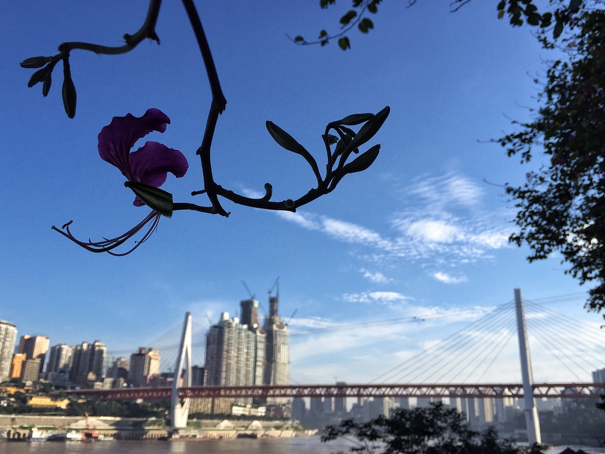 吊篮提升机外壳检测标准规范