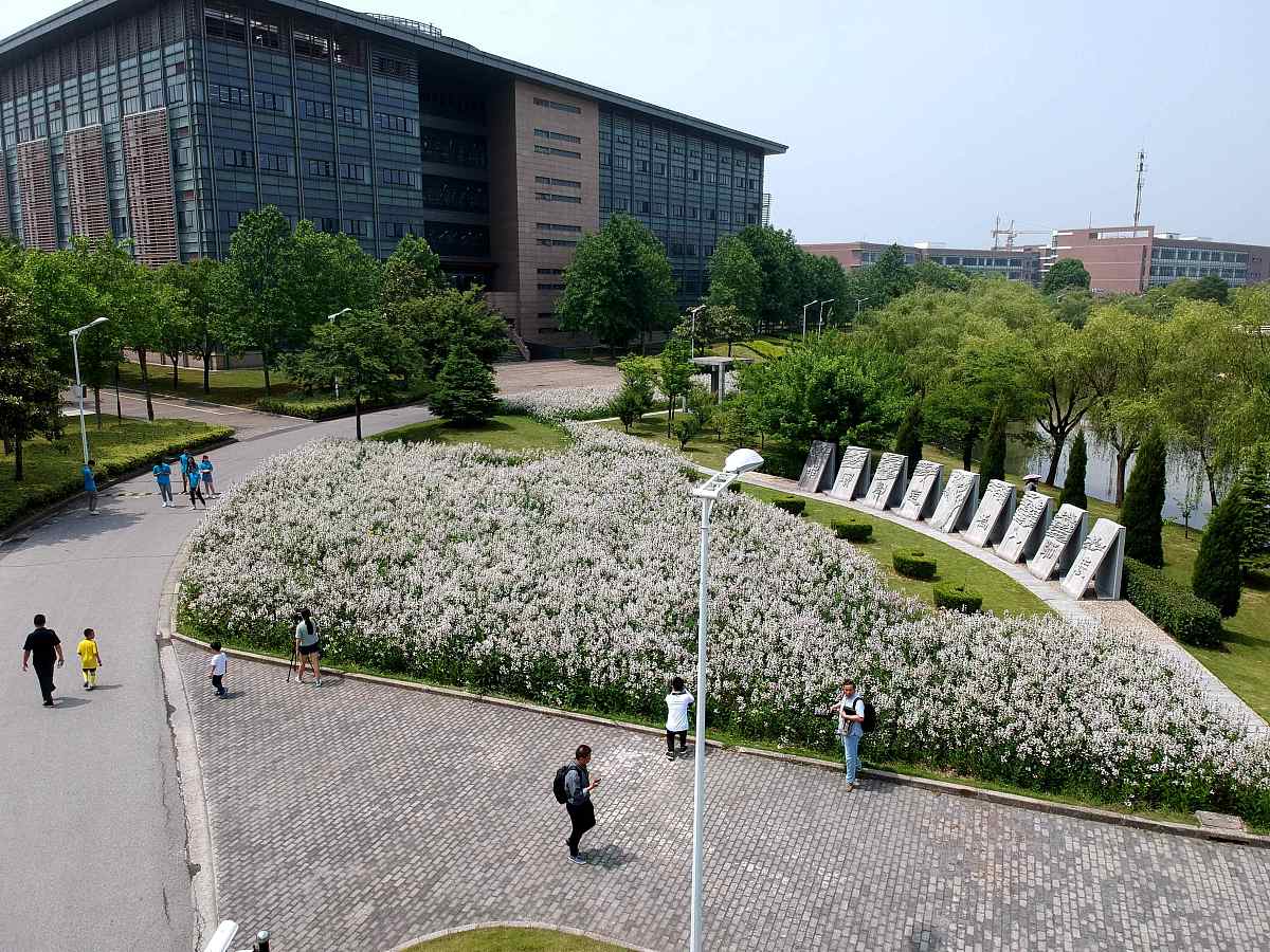 华东师范大学闵行校区中考失利？别慌！选择适合你的升学之路