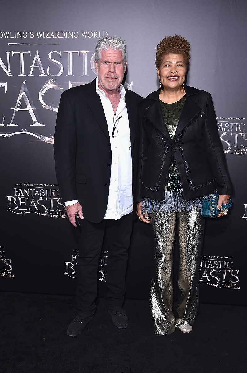 2016年11月10日,美国纽约,电影《神奇动物在哪里》(fantastic beasts 