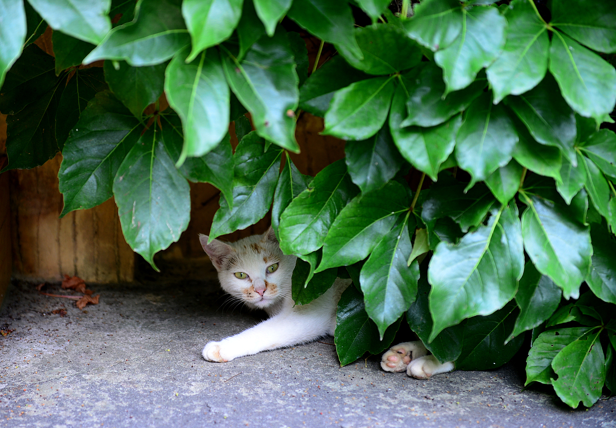 柳州机电工程学校办学层次是什么