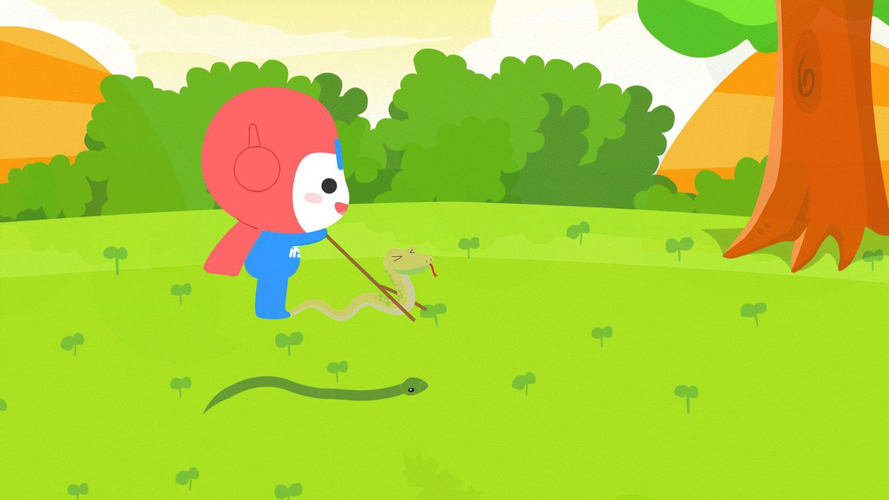 怎么区分有毒的蛇和无毒的蛇