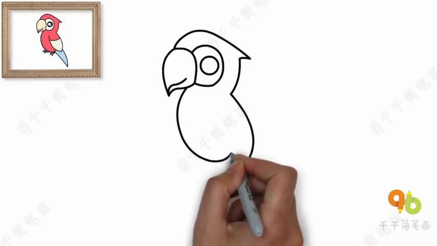 「简笔画动物第19期」一分钟教会你画调皮的小鹦鹉