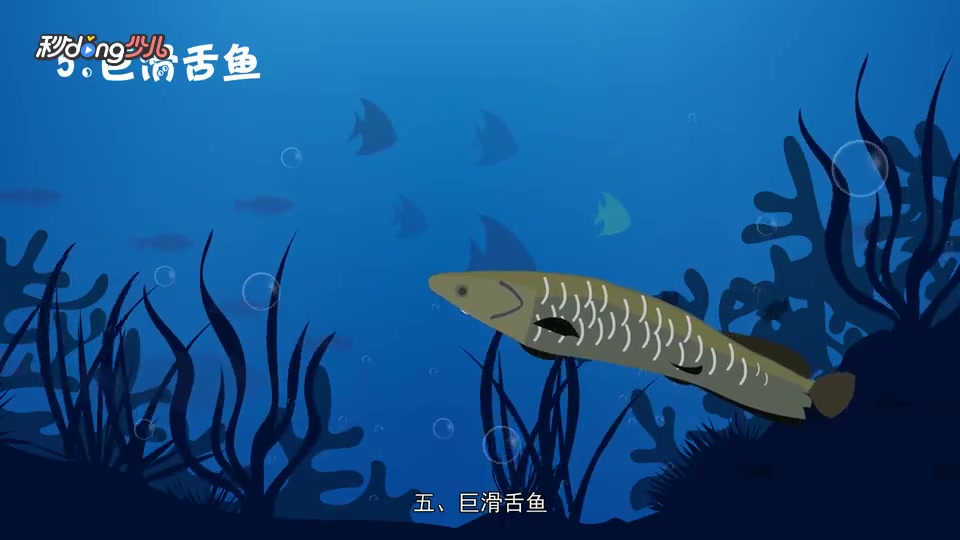 盘点全球10大存活至今的史前鱼类