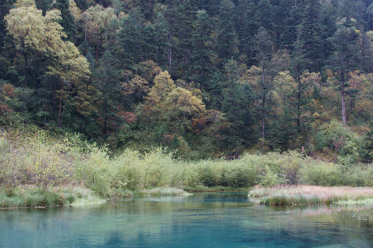 2011年10月01日,四川省阿坝藏族羌族自治州,九寨沟秋色.***_***拍摄时
