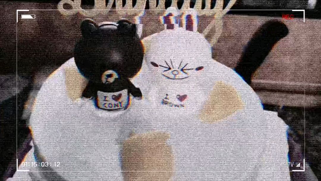 布朗熊——可妮兔