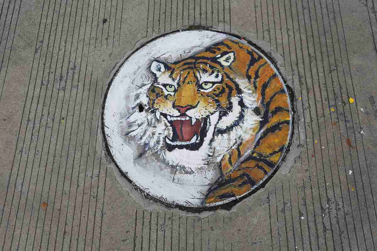 广西广播电视学校汽车制造与检修专业就业前途大不大