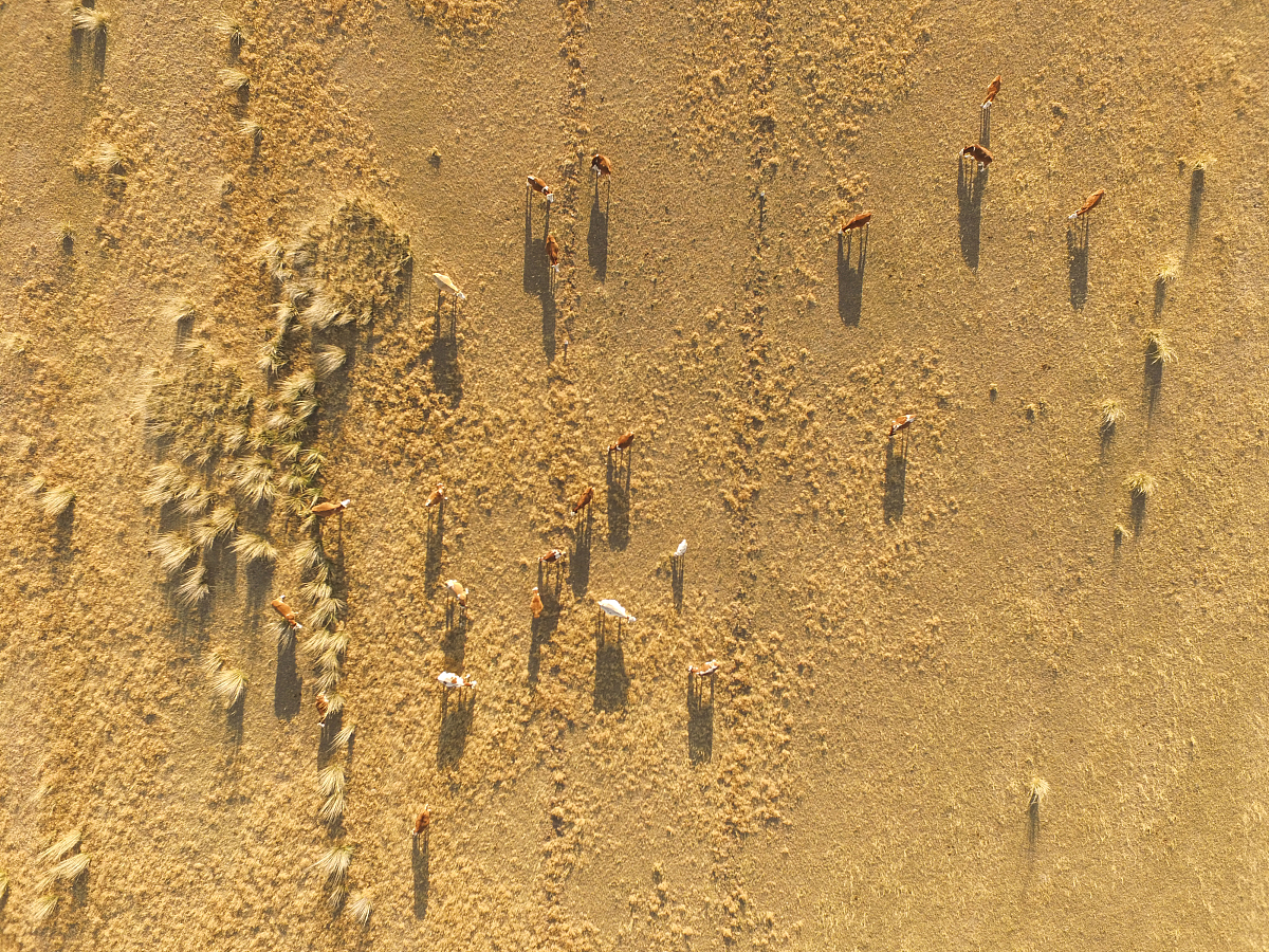 内蒙古通辽市老百姓遇困求助媒体，共同呼唤温暖