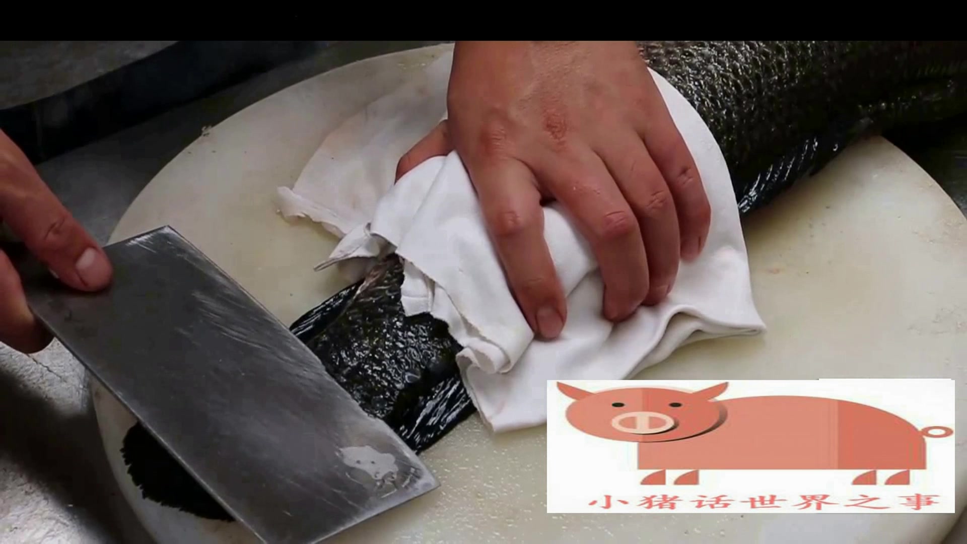 小猪话世界之美食酸菜鱼黑鱼切法 肉食都可以这样切 做给你爱人吧