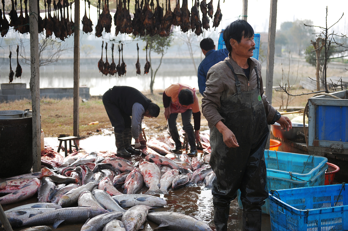 实践周心得体会首段模板