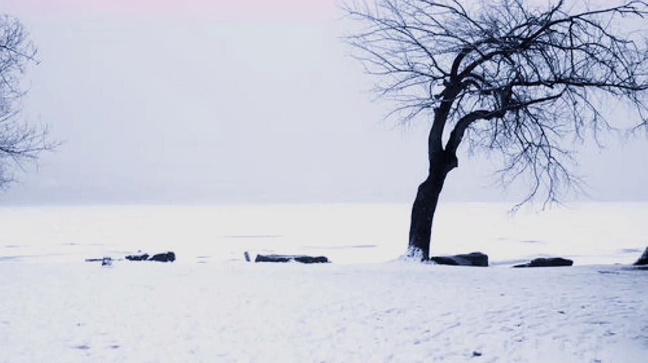 [图]唐诗三百首韩愈《春雪》名句:新年都未有芳华 二月初惊见草芽