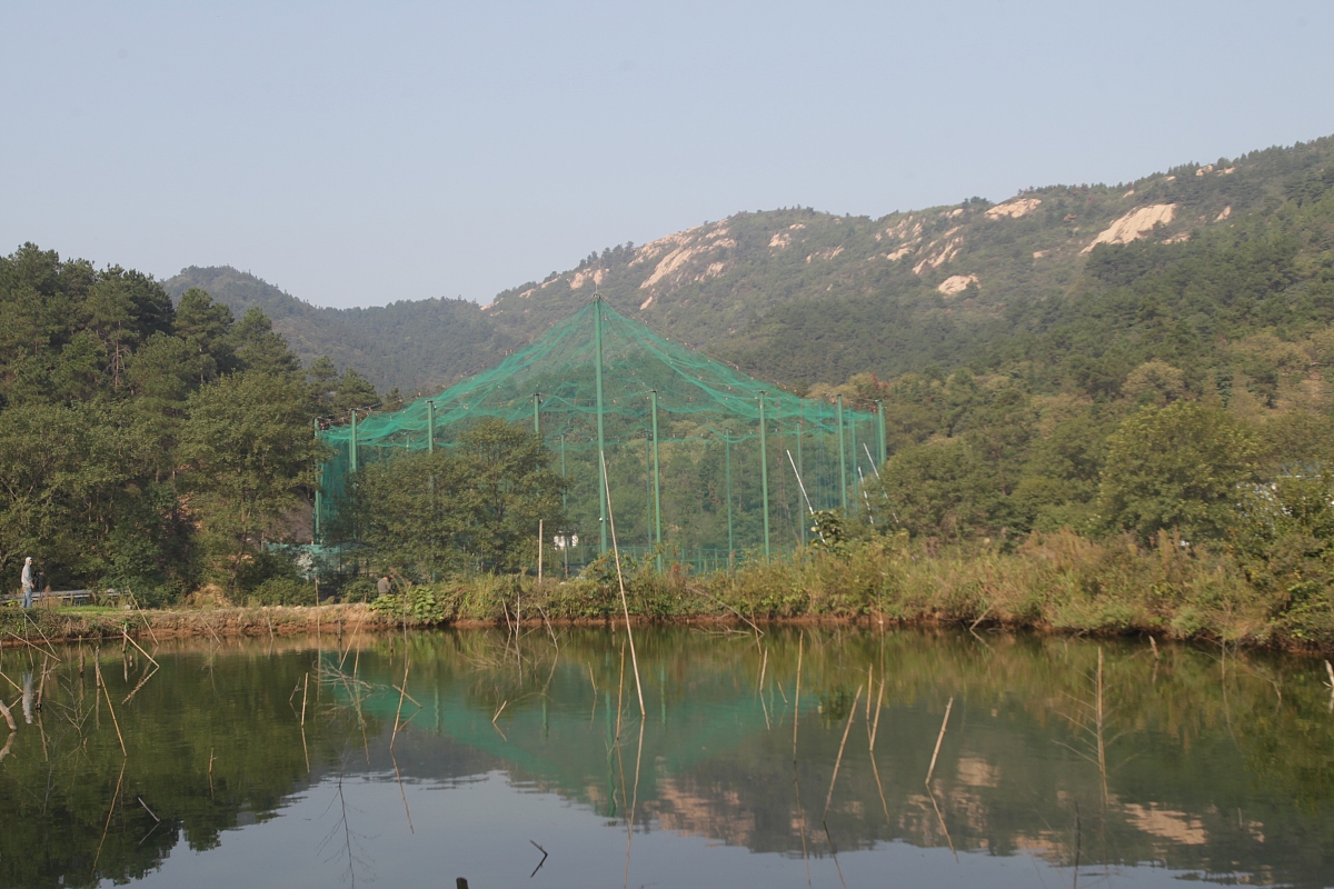 信阳公证档案扫描服务 | 数字化管理，高效便捷