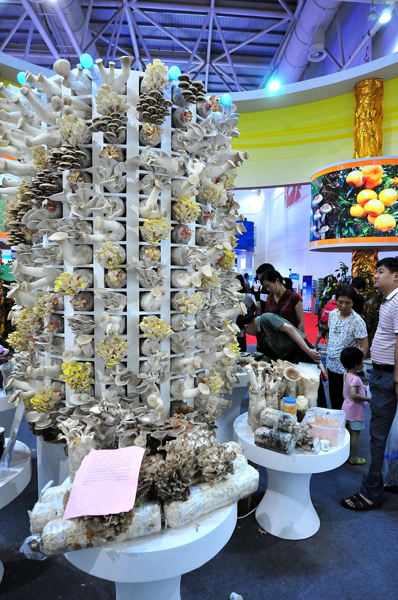 凉山州农业学校实力怎么样？教学、科研、社会服务全面解读