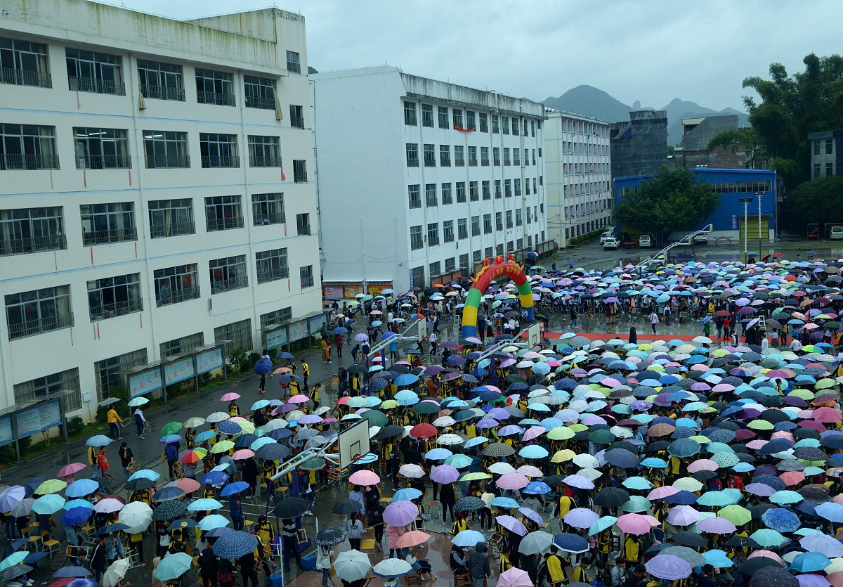 孟连县高级职业中学官网 | 培养学生综合素质，注重文化艺术发展