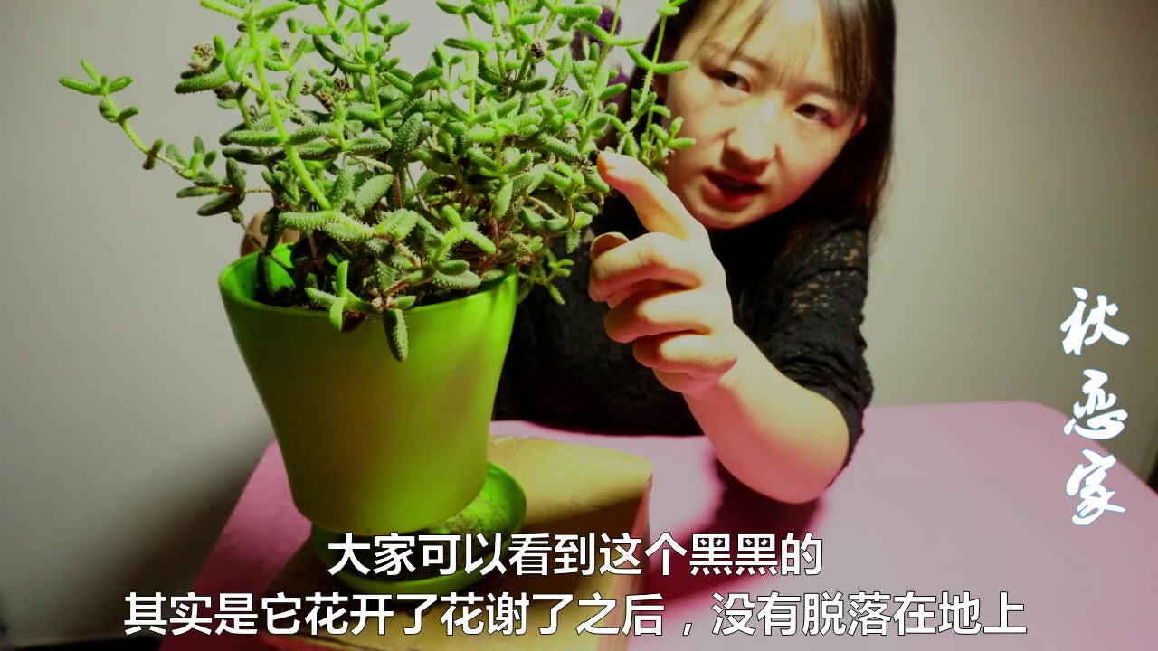 雷童养护注意好这几点,就能养出你想要的状态