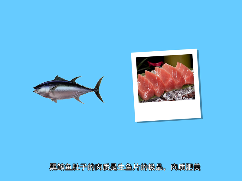 黑鲔鱼:俗称魠乐或黑黯鲳