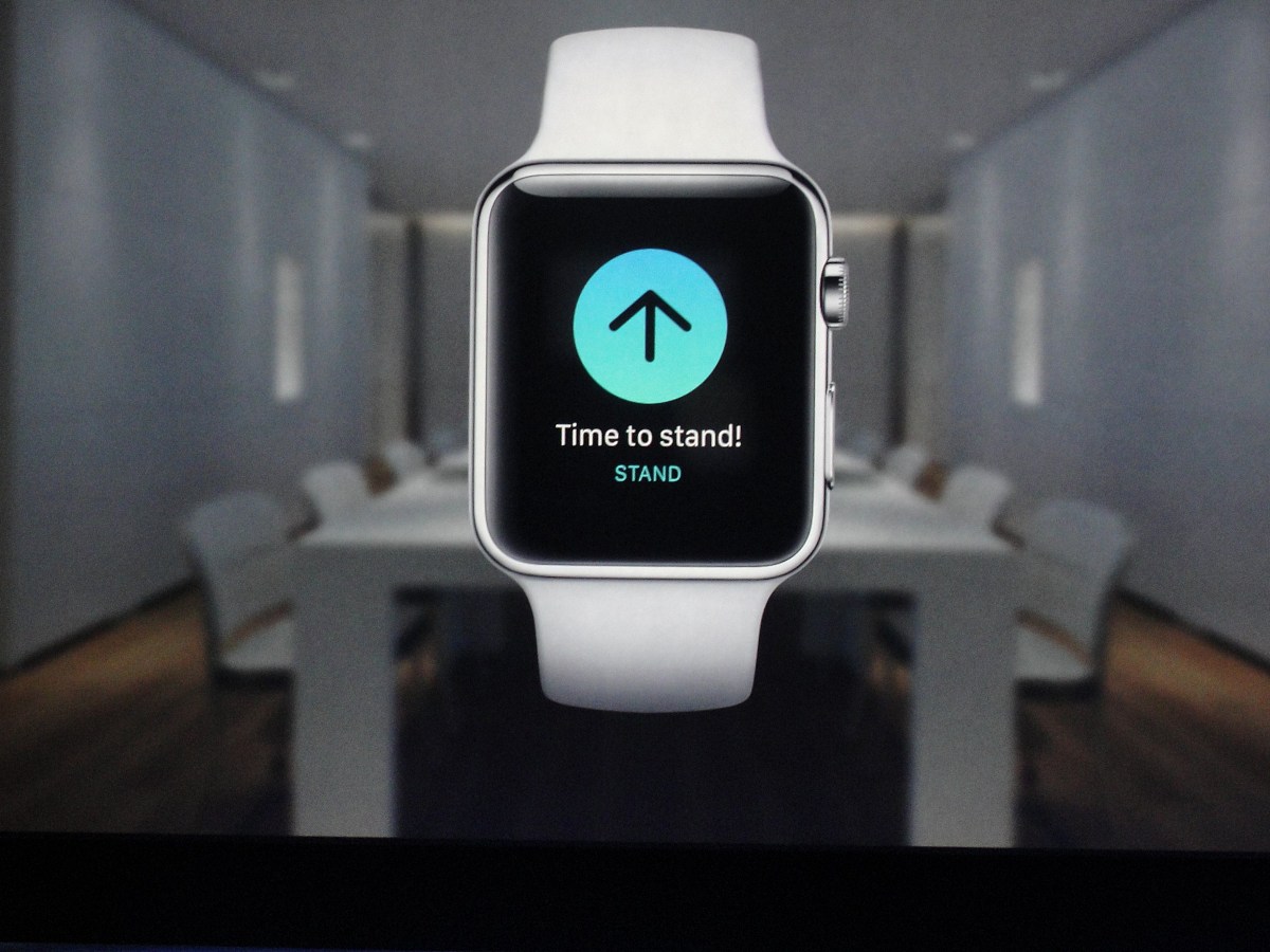 行政法基本原则标准：全面解读