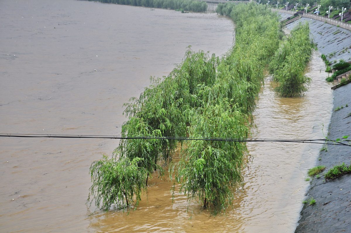 写一个关于NHC预知设备故障的古装剧脚本