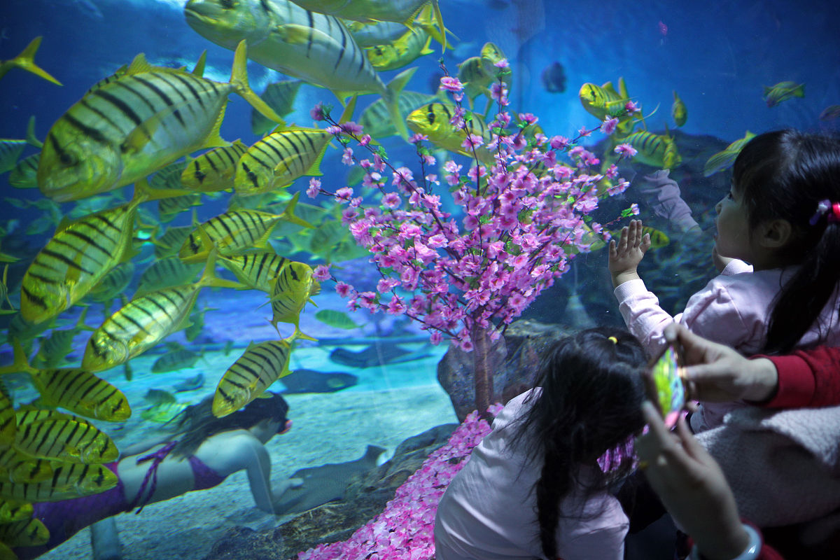 青岛海运职业学校3+2大专2023年有哪些专业