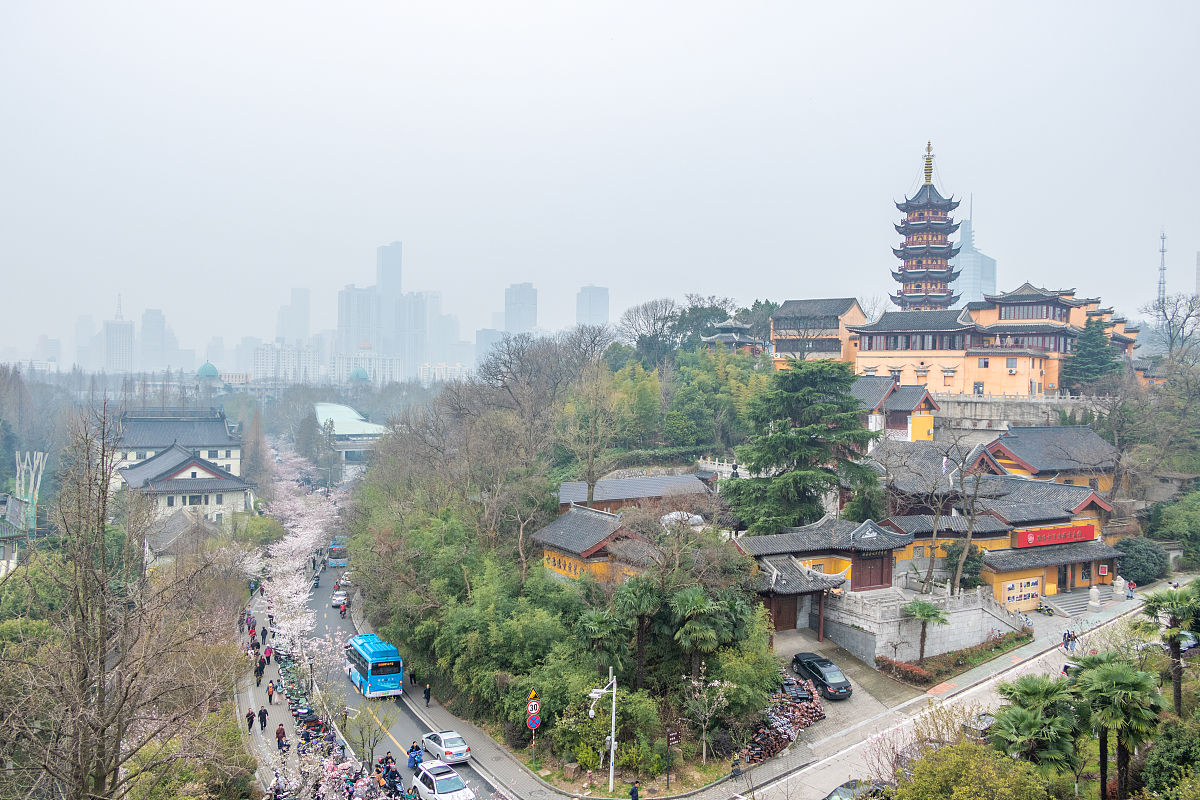 2019年3月21日,江苏省,南京市,鸡鸣寺路,樱花.