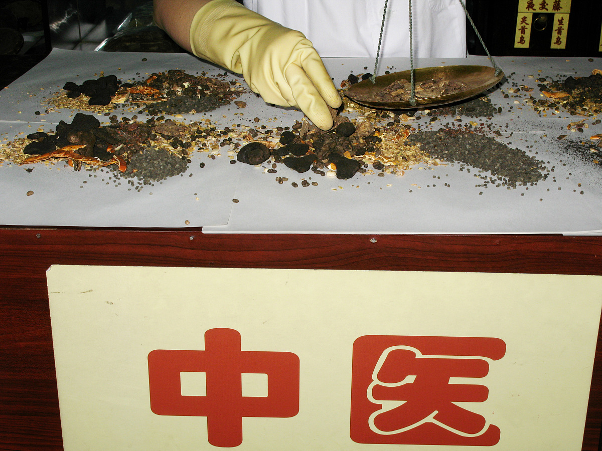 学中药专业去河北哪个学校不后悔？