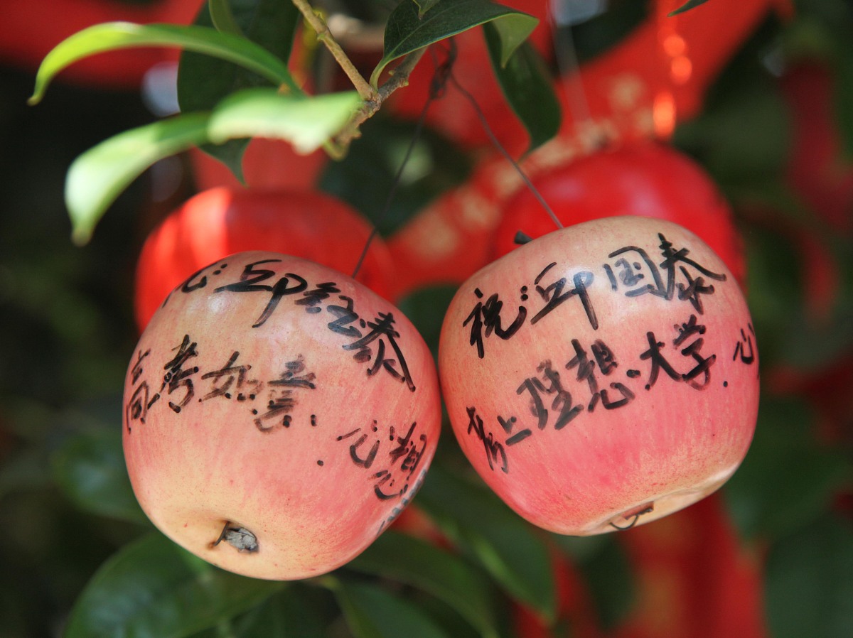 10句温暖的早上好祝福语，开启美好的一天