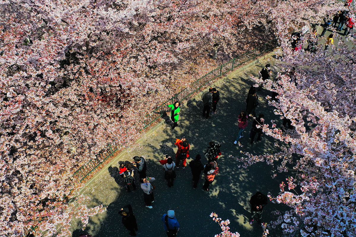 2019年4月1日,上海地铁8号线的虹口足球场1号出口被网友誉为上海"最美