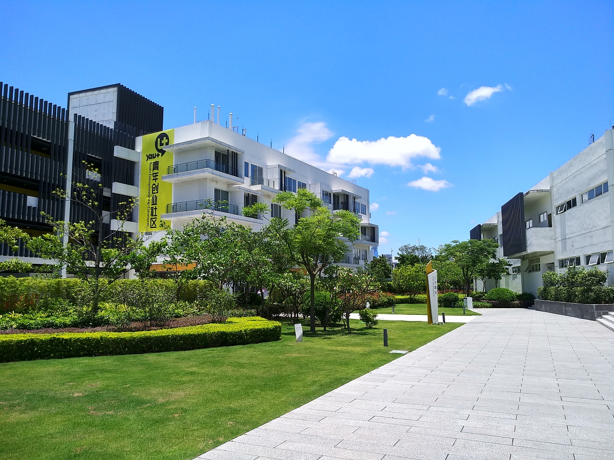 深圳职业技术学院数字图文信息技术专业好就业吗