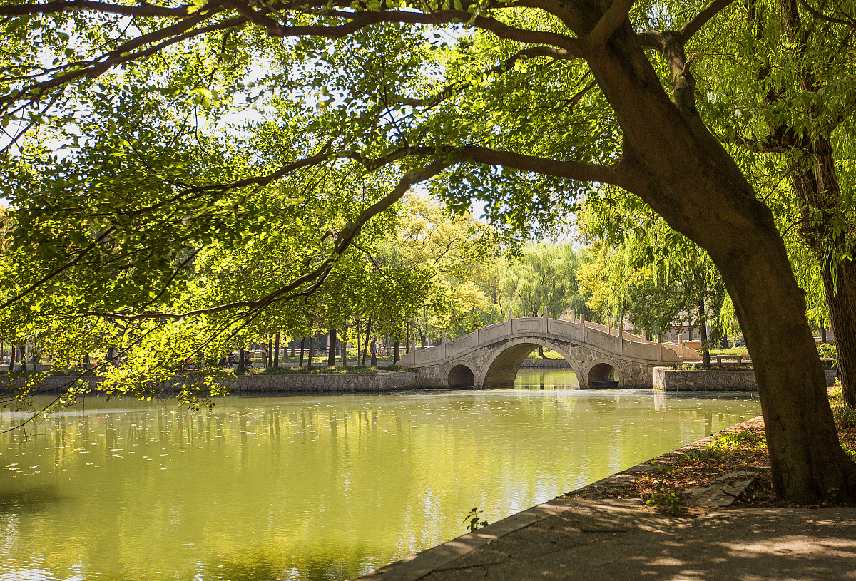 南京航空航天大学 vs 南京理工大学：QS世界大学排名对比