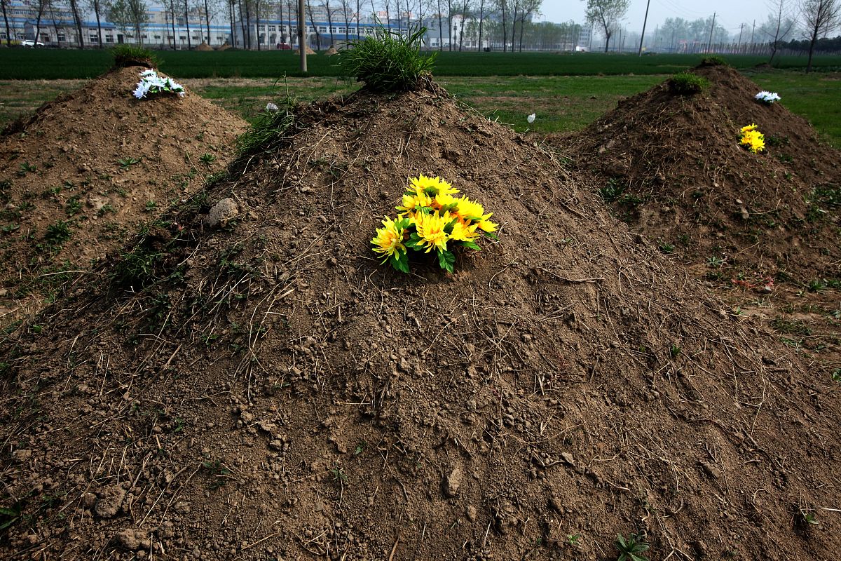 评审工程师认可度评估标准