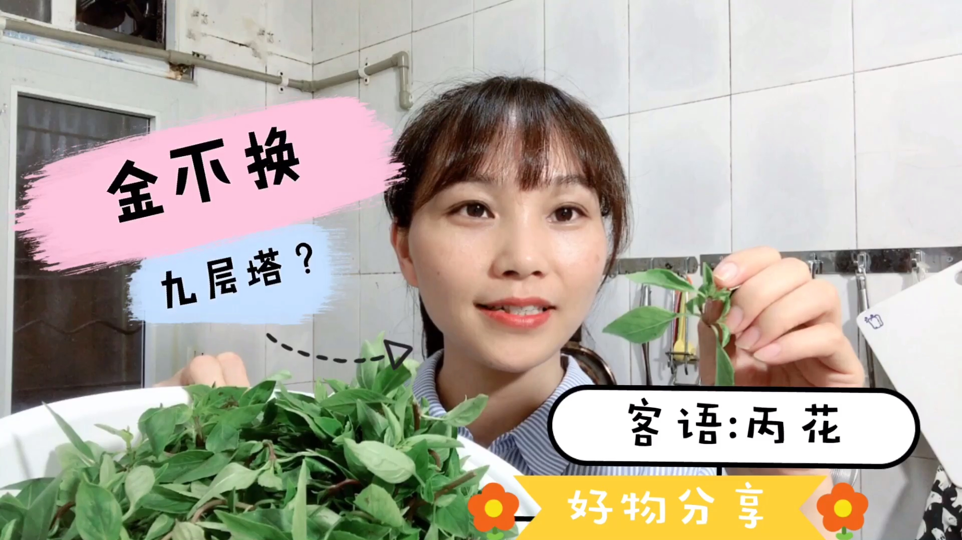 美食香菜推荐,九层塔,金不换,不仅仅是香菜,还可以做酱料