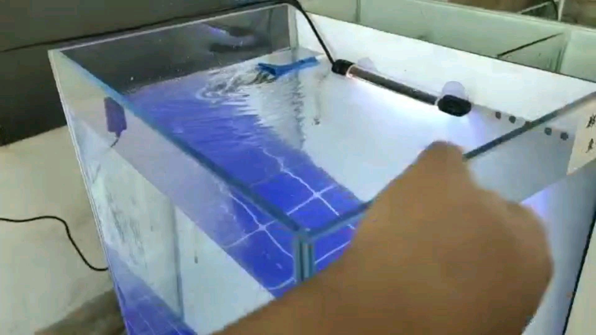 侧滤鱼缸加水展示过滤效果