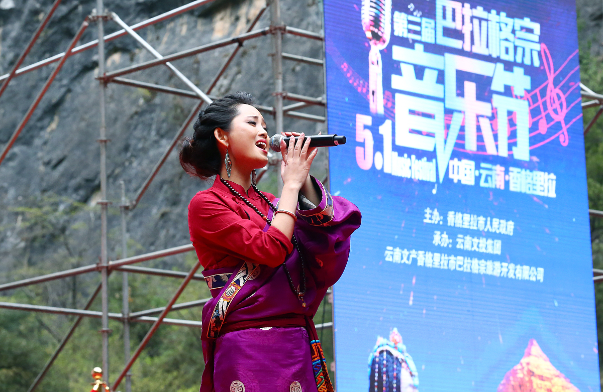 理塘丁真：藏族歌手的音乐魅力与公益之心