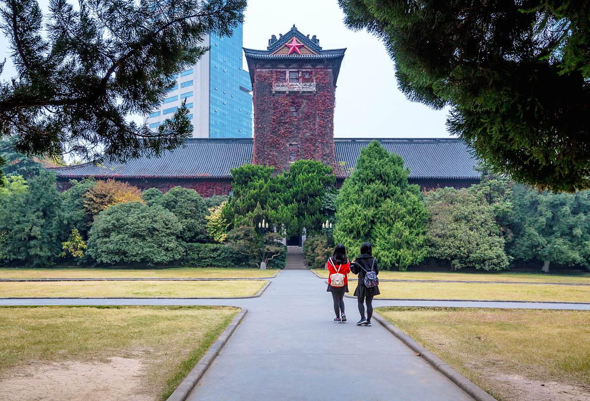 上海:实拍同济大学樱花大道夜色 浪漫如童话世界