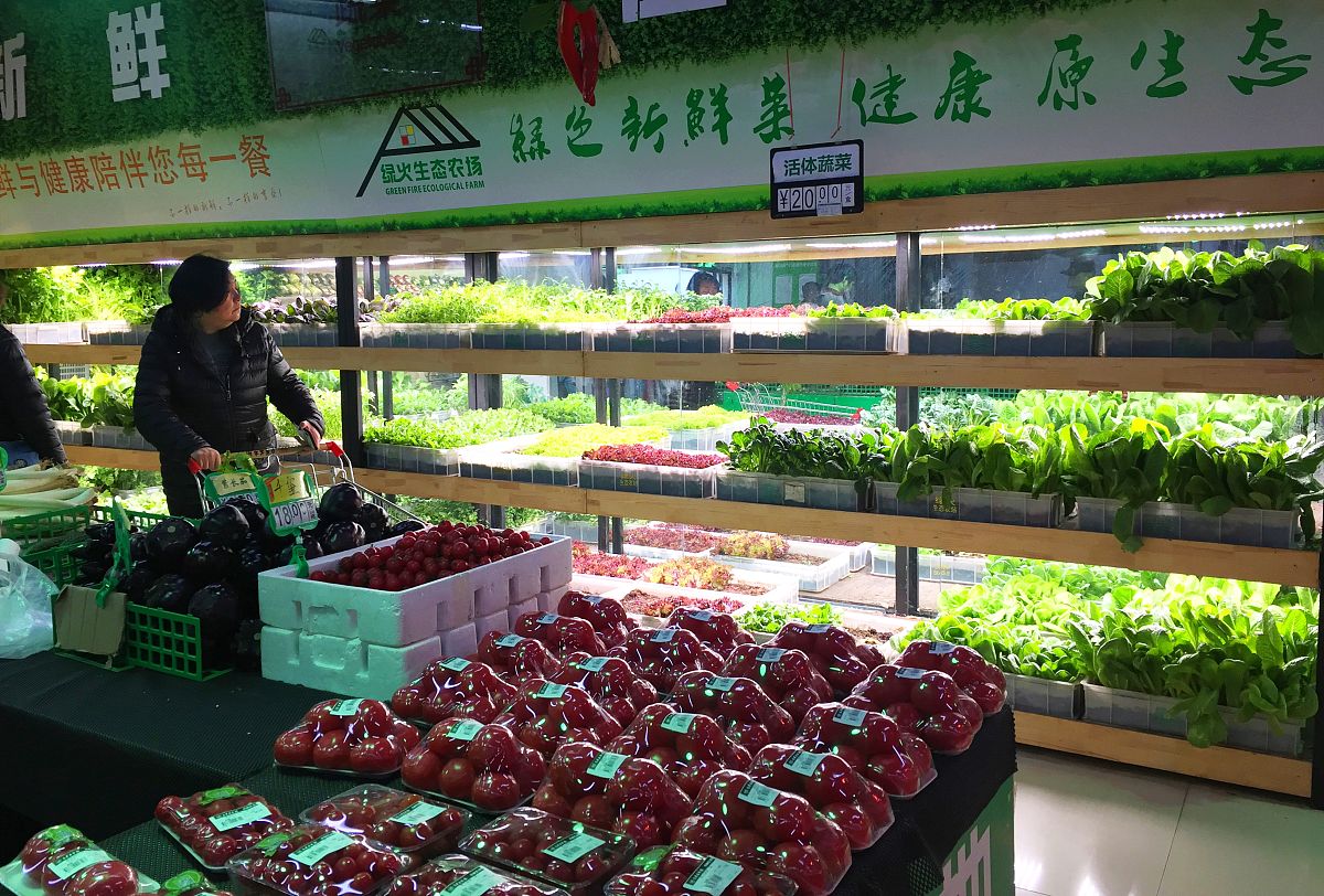 如何把中国大陆的青菜水果出口到香港？ 操作步骤帮我用200字详细描述