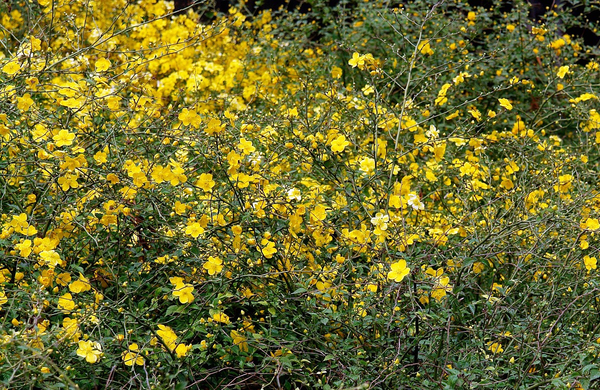 好听的女孩名字大全：中文英文名推荐