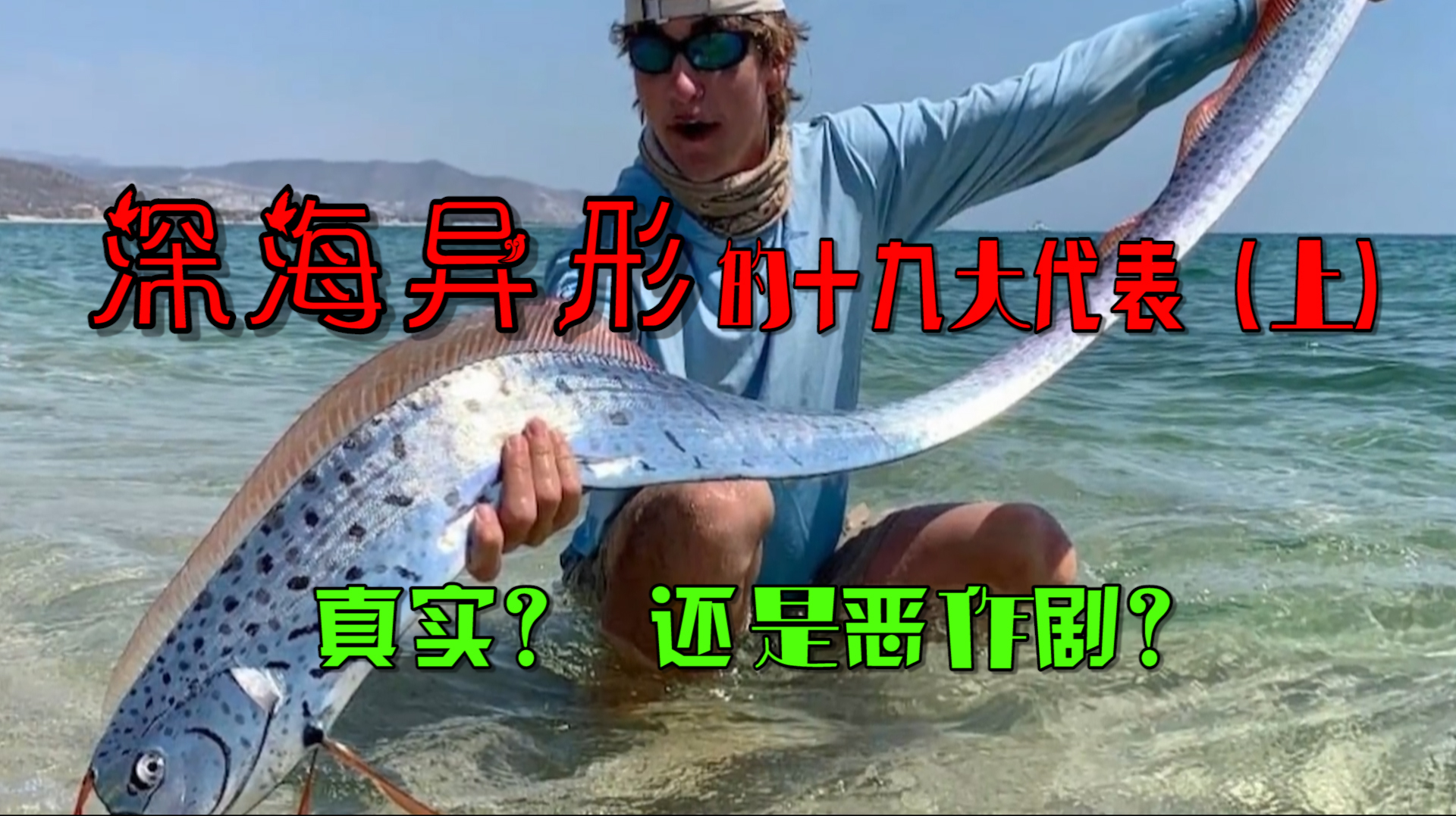 深海异性的十九大代表(上):被渔民意外捕获,才让它们重见天日?