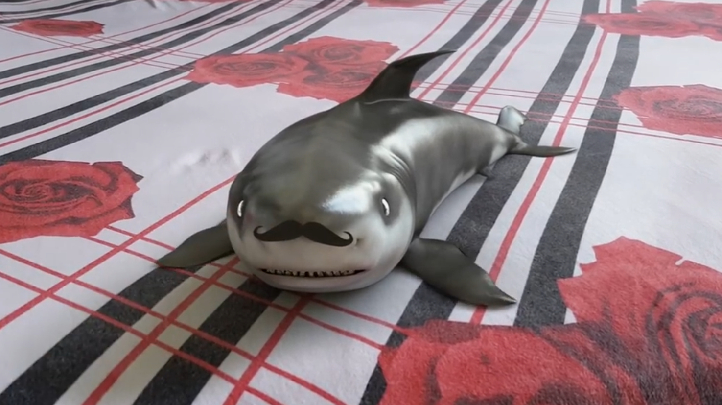 国外最听话的鲨鱼,不用喂食也不用喝水,就是这么强悍