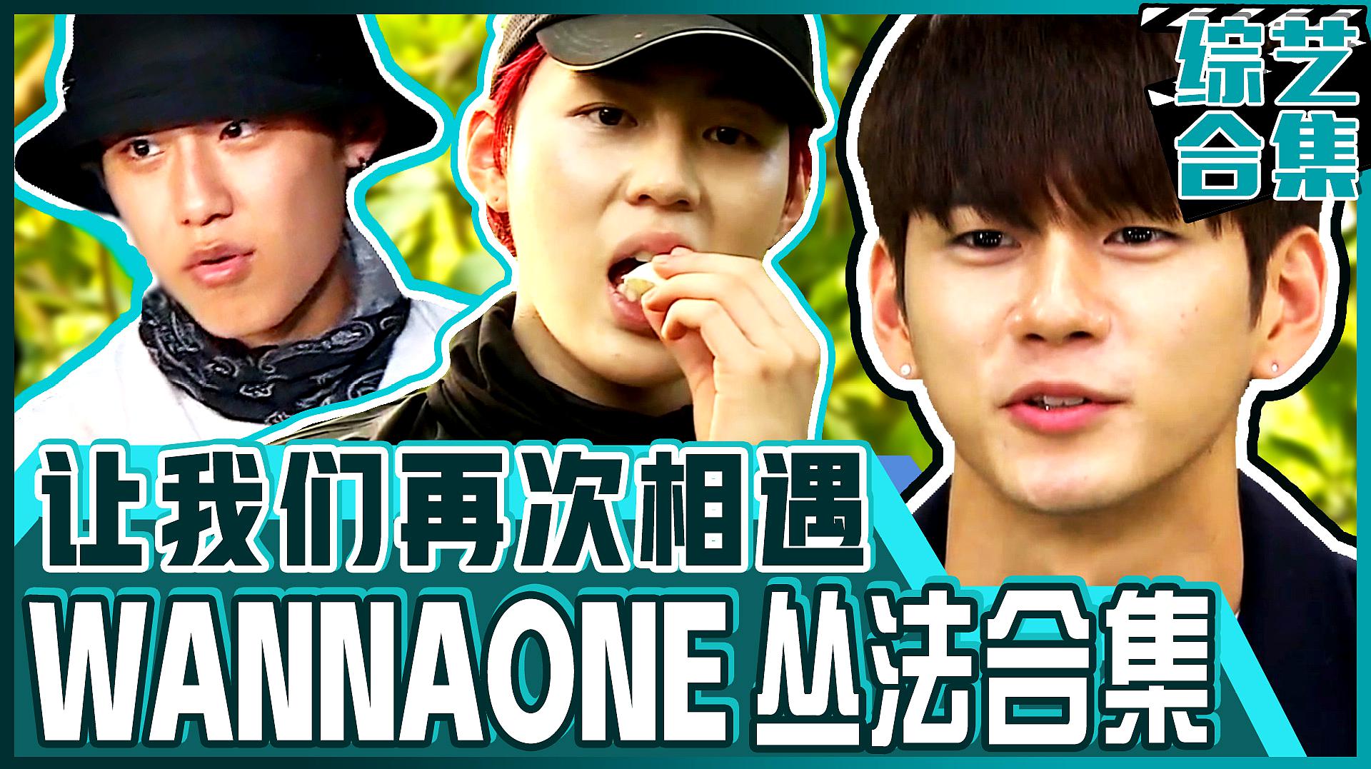 [图]《金炳万的丛林法则》邕圣祐,河成云,朴佑镇!WANNAONE来了!