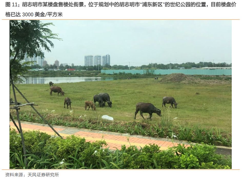 下一个中国：到底是印度还是越南？（实地调研，深度对比）344 / author:7788 / PostsID:1275995