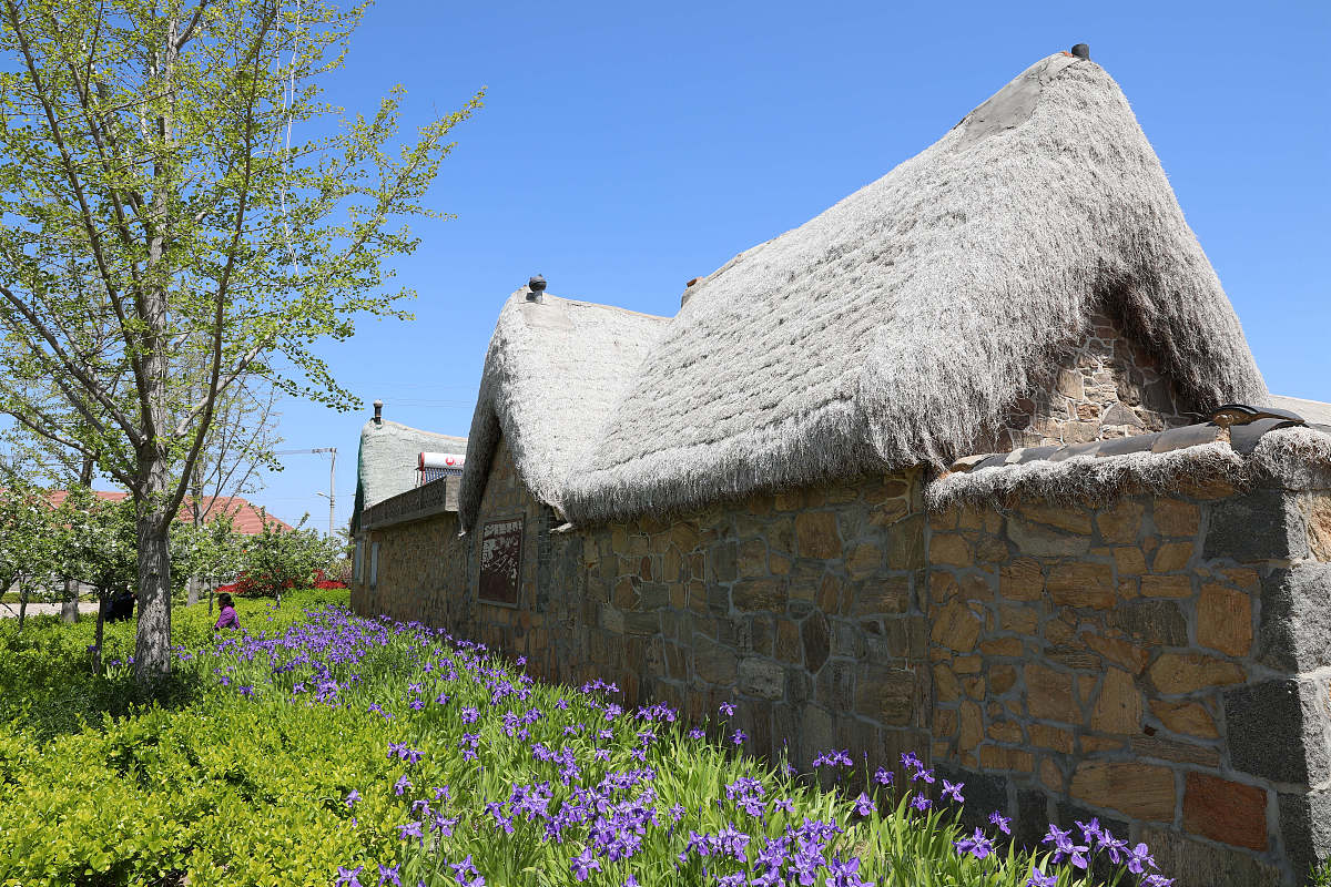 山东荣成东楮岛村区位分析：渔业资源丰富，旅游胜地