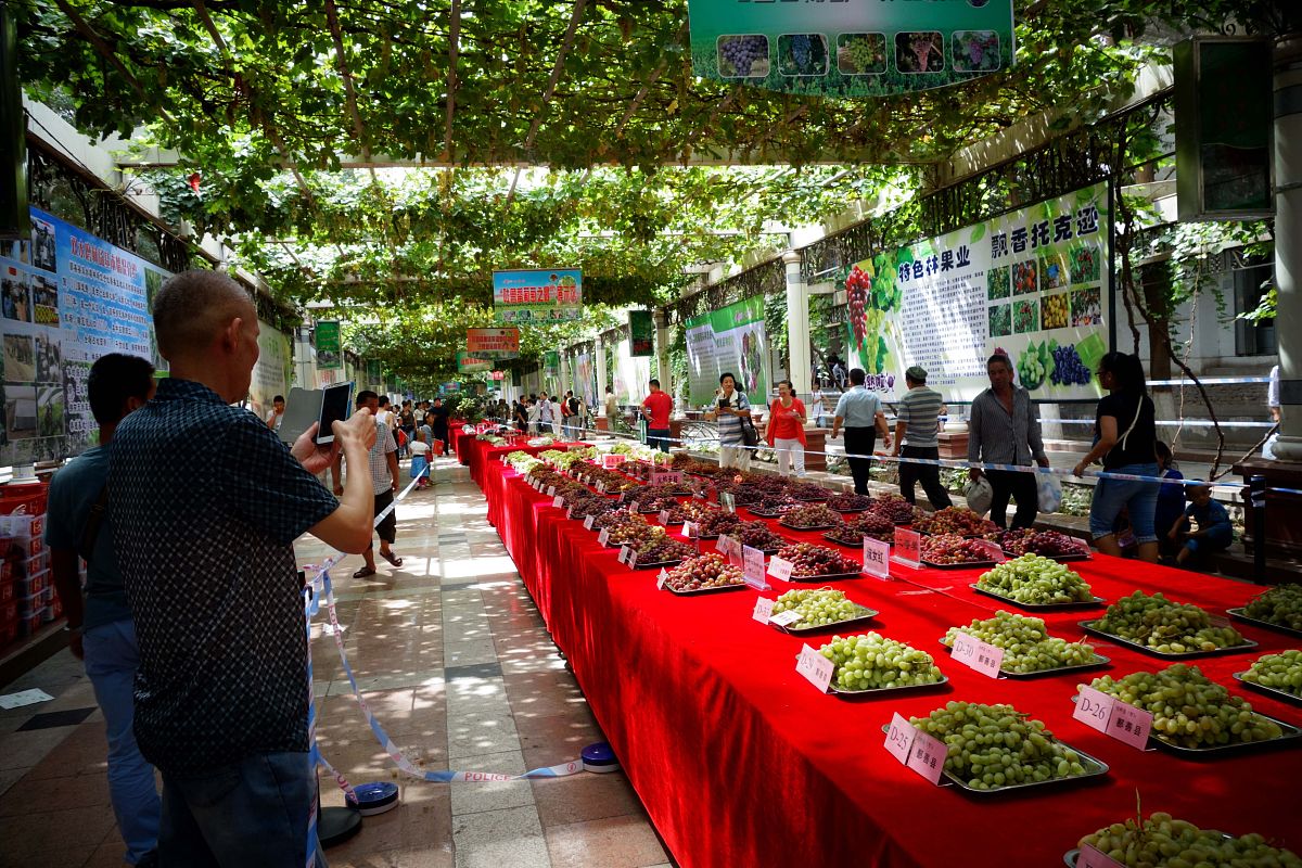 吐鲁番葡萄节风险预案