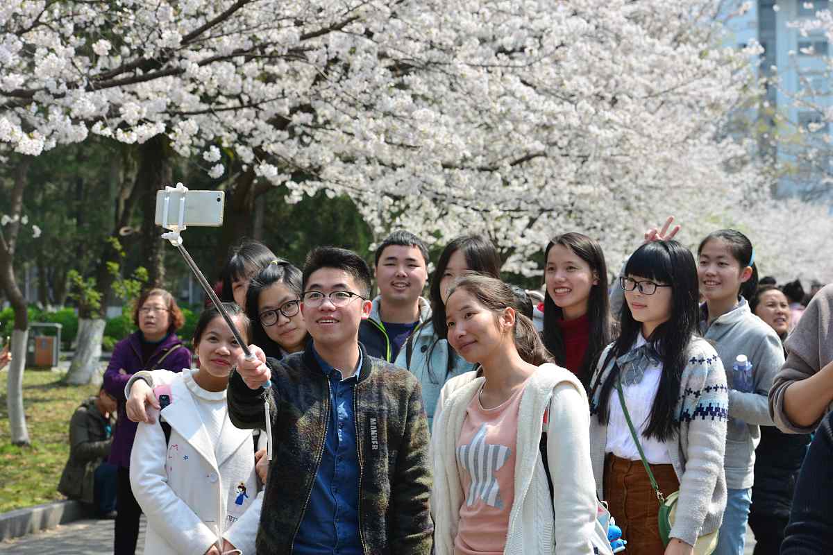 扩写以下内容使其更加丰富：春风几度拂过玄武湖畔的垂柳校园的樱花缤纷了我三年的研究生生活。经历一年左右的磨砺论文终于完成研究生阶段也即将结束。回首过去的三年我得到了许多人的关怀和帮助借此机会谨向三年来给予我关心、支持和帮助我的良师益友、亲人致以最真攀的谢意!。