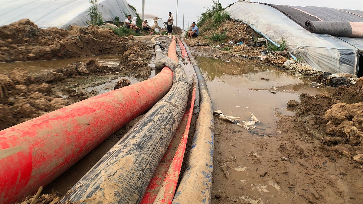 实习报告：调拨部实习经验分享 - 库存管理与药品调拨的重要性