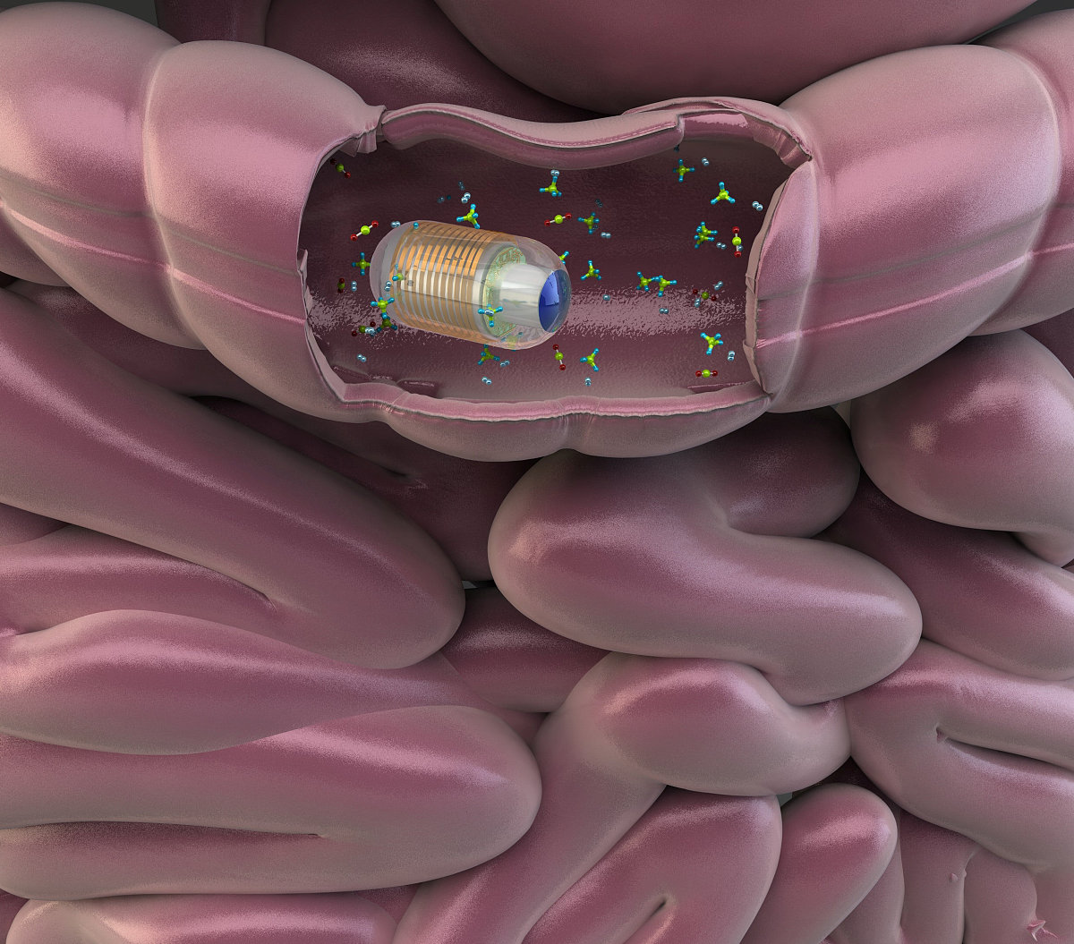纯净物一定是化合物吗？详解元素、化合物和混合物